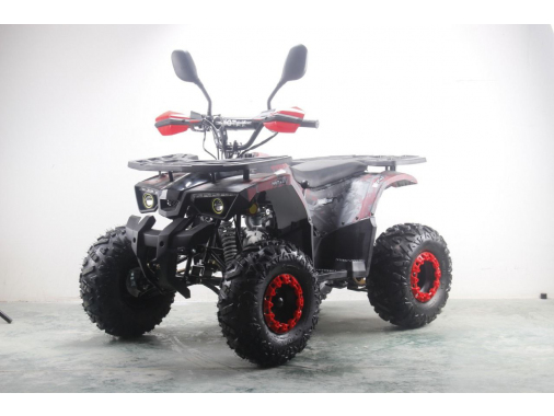 Квадроцикл Motax ATV Grizlik Super Lux 125 сс NEW