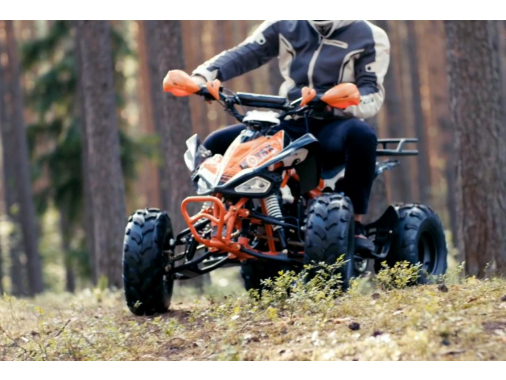 Квадроцикл Motax ATV T-Rex Super LUX 125