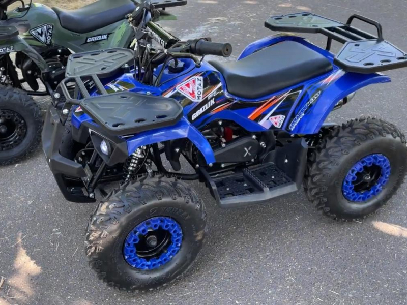 Квадроцикл ATV Mini Grizlik X-16 (э/с)