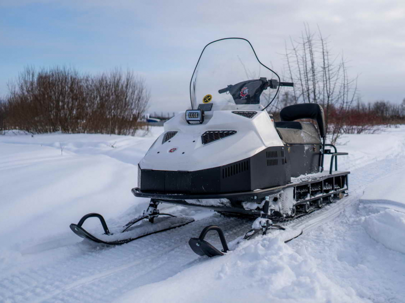 Снегоход БТС 4Т Рысь 600 ЛЮКС