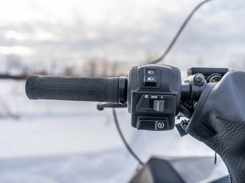 Снегоход БТС 4Т Рысь 600 ЛЮКС