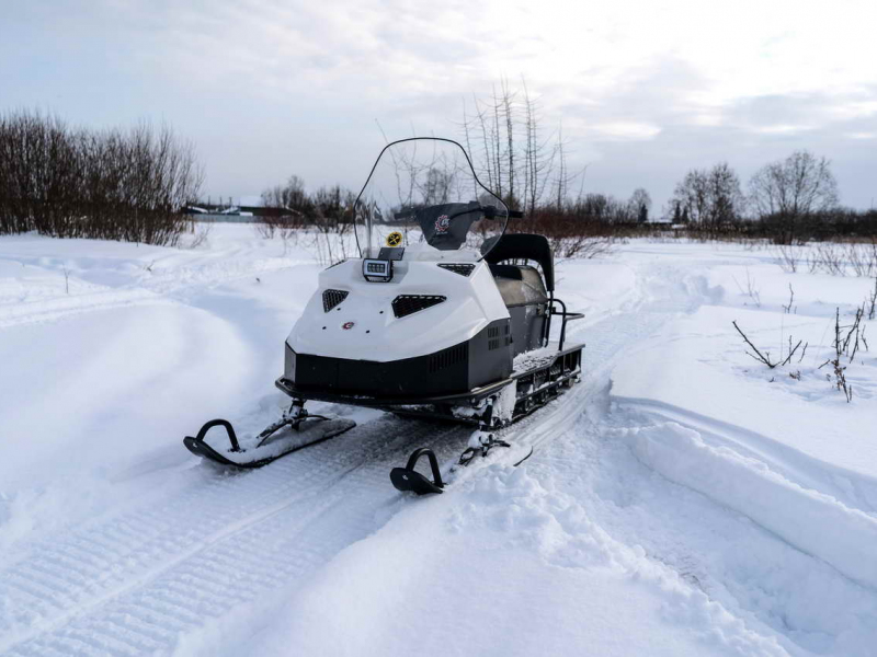 Снегоход БТС 4Т Рысь 600 ЛЮКС